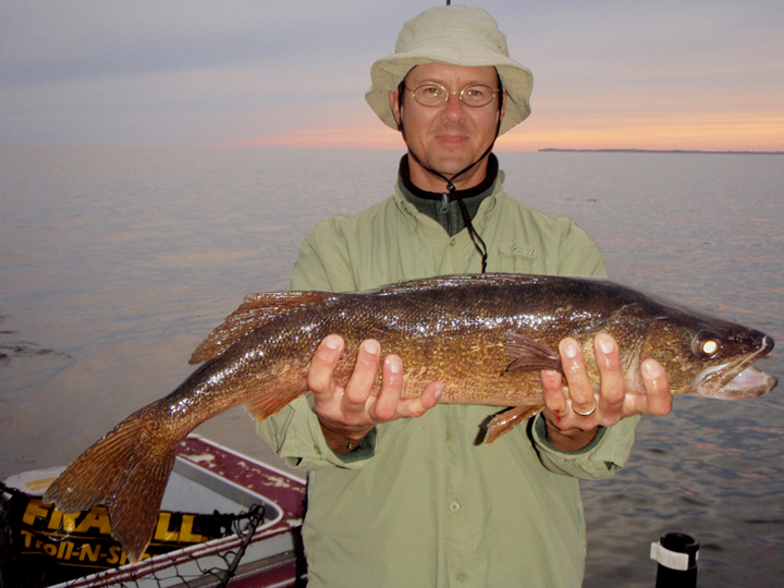 Average Walleye, Eh?